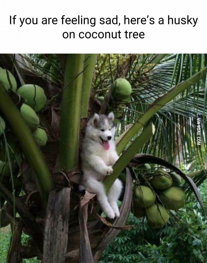 Test Bild Test Bild Test Bild